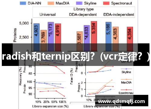 radish和ternip区别？(vcr定律？)